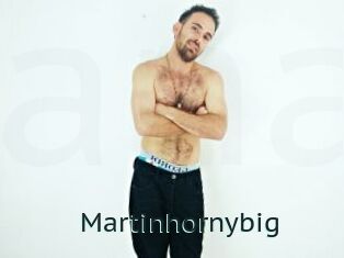 Martinhornybig