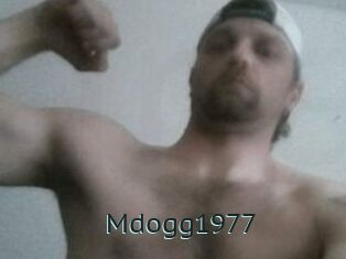 Mdogg1977