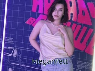 Meganfelt