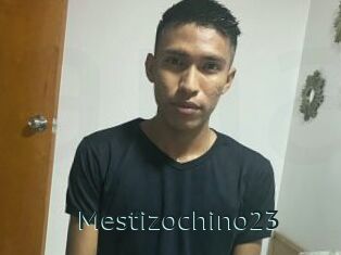 Mestizochino23