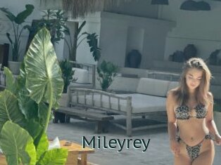 Mileyrey