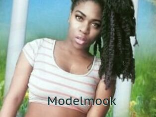 Modelmook