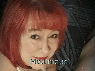 Mollimausi