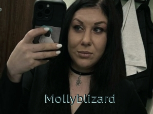 Mollyblizard