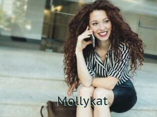 Mollykat