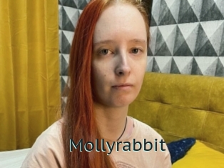 Mollyrabbit