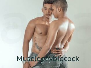 Musclegaybigcock