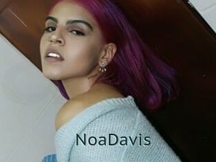 NoaDavis