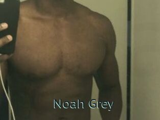 Noah_Grey