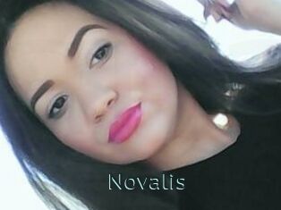 Novalis Anal X