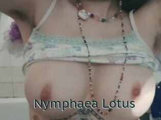 Nymphaea_Lotus