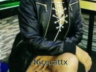 Nicecattx