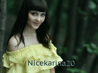 Nicekarina20