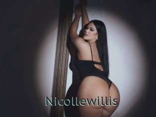 nicollewillis Anal X
