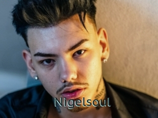 Nigelsoul