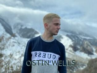 OSTIN_WELLS