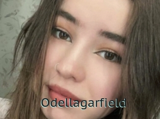 Odellagarfield