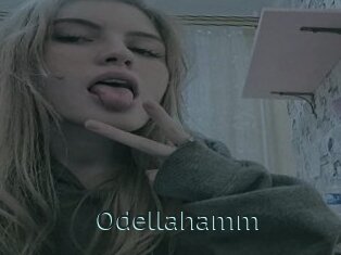 Odellahamm