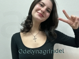 Odelynagrindel