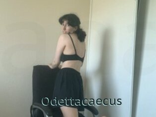Odettacaecus