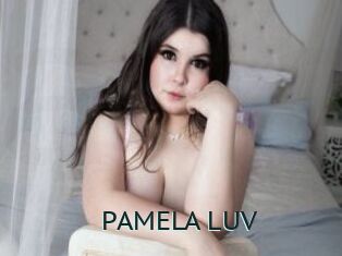 PAMELA_LUV