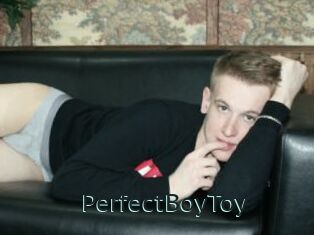 PerfectBoyToy