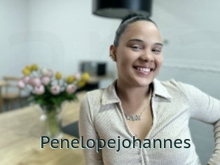 Penelopejohannes