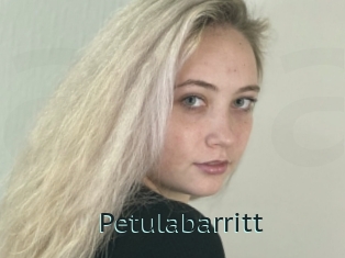 Petulabarritt