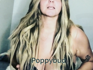 Poppybud