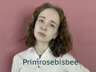 Primrosebisbee