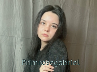 Primrosegabriel