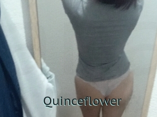 Quinceflower