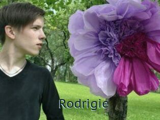 Rodrigie