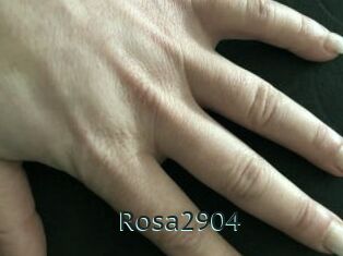 Rosa2904