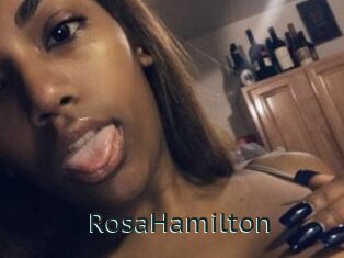 RosaHamilton Anal X