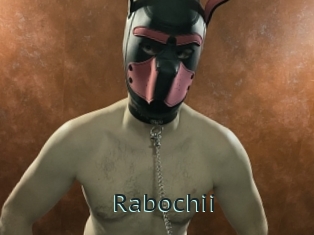 Rabochii