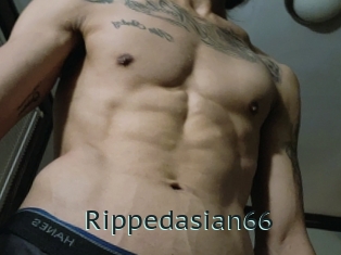 Rippedasian66