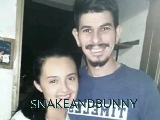 SNAKEANDBUNNY