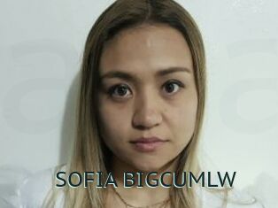 SOFIA_BIGCUMLW