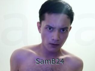 SamB24 Anal X