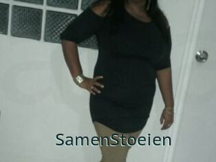 SamenStoeien