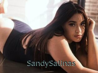 SandySalinas