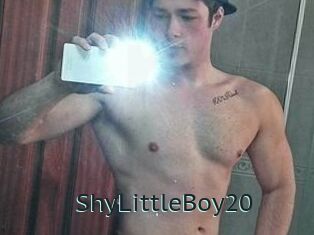ShyLittleBoy20