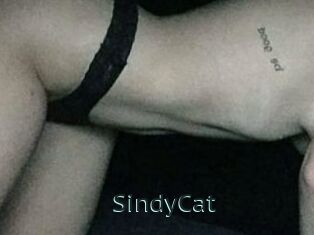 SindyCat