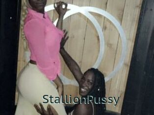StallionPussy Anal X