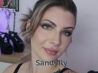 Sandyfly