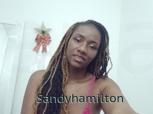 Sandyhamilton
