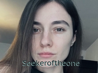 Seekeroftheone