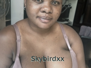 Skybirdxx