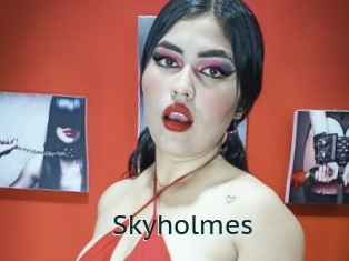 Skyholmes